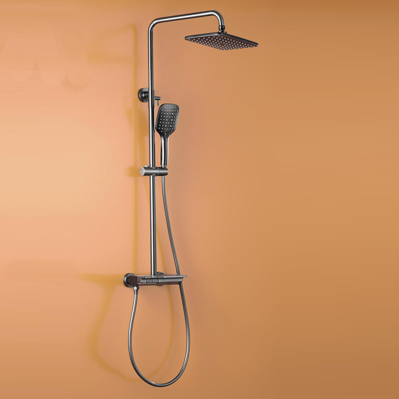 Handheld Ceiling Hand Shower Set